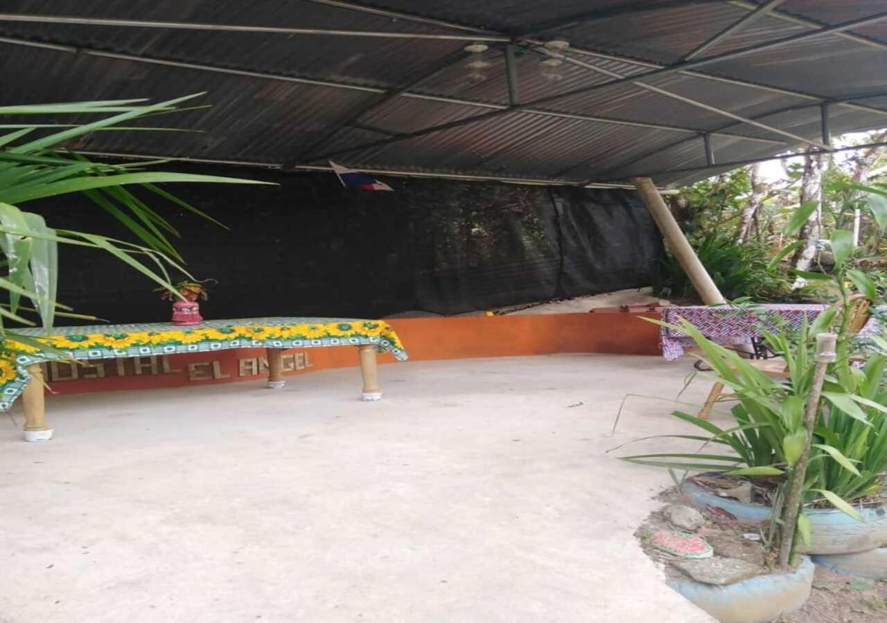 Hostal Familiar El Angel Panama B&B Pajonal Arriba Zewnętrze zdjęcie