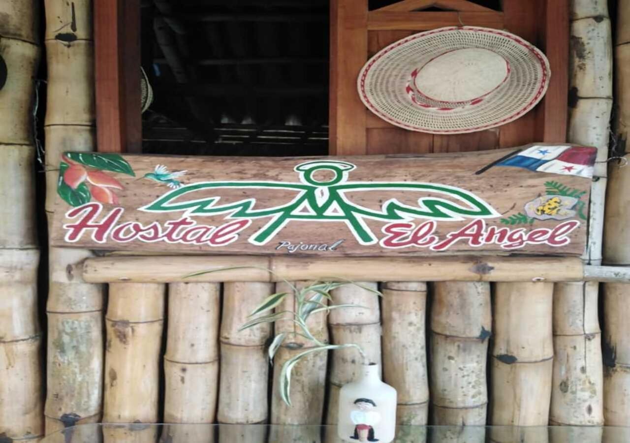 Hostal Familiar El Angel Panama B&B Pajonal Arriba Zewnętrze zdjęcie