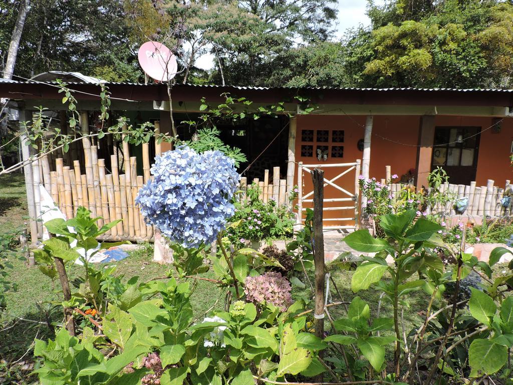 Hostal Familiar El Angel Panama B&B Pajonal Arriba Zewnętrze zdjęcie