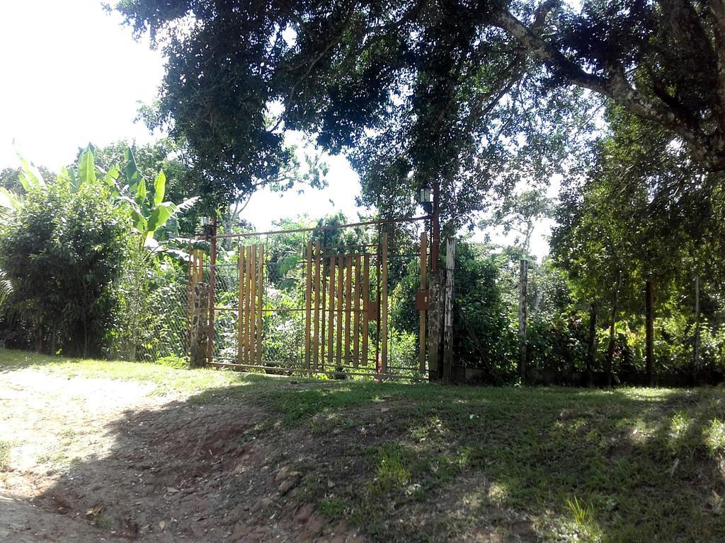 Hostal Familiar El Angel Panama B&B Pajonal Arriba Zewnętrze zdjęcie